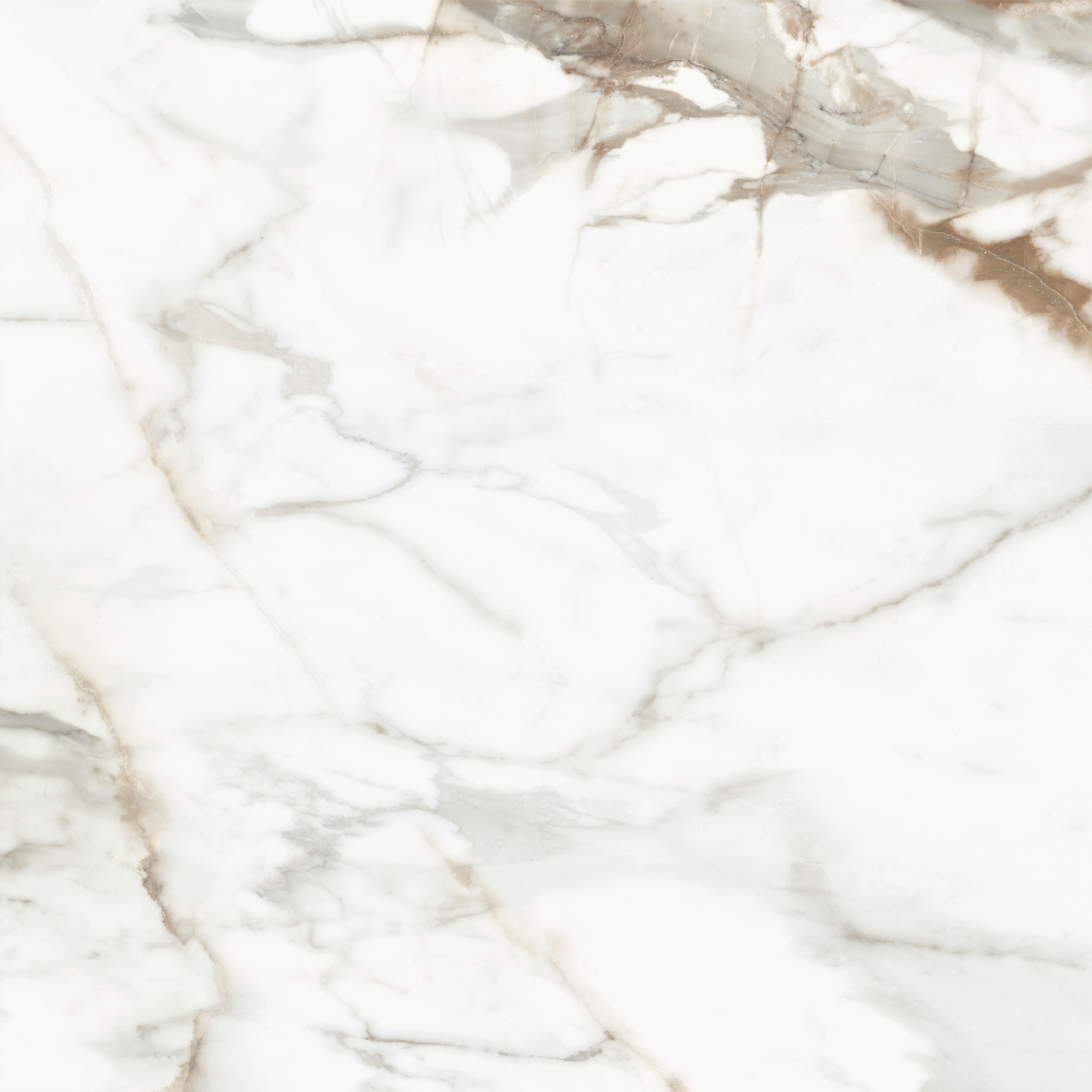D60209M Calacatta Premium карвинг 600x600x9.5 Delacora