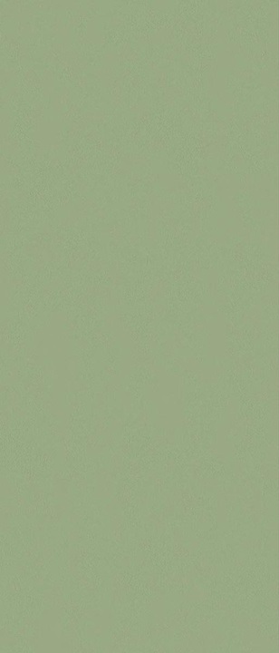JS6024P Pine Green Matt 120x280 Janye Slab