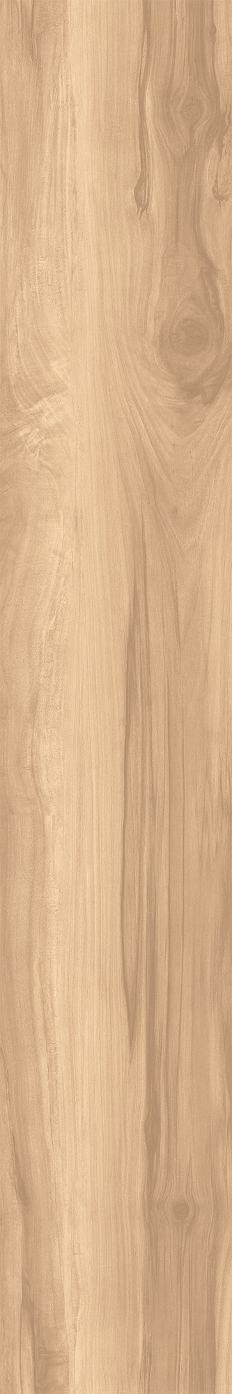 CW-RT09-B Fossil Wood Brich Rustic 20x120 Creanza