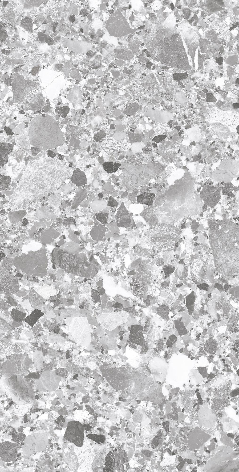 SL1004-A Terragona Silver Solido 60x120 Creanza
