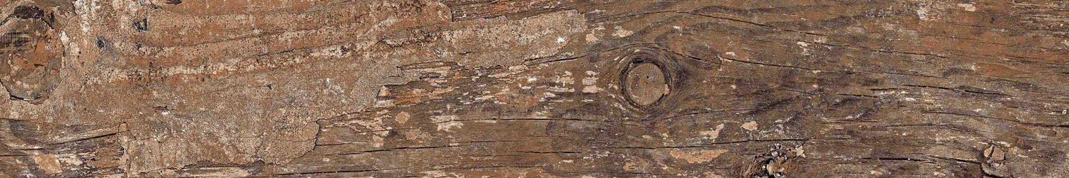 Kiwi Redroot Mat 20x120 Alpas Euro