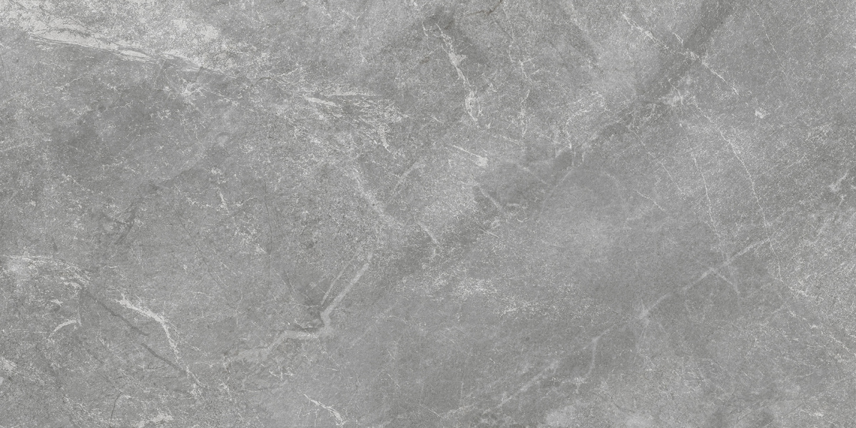 Rocky Grey PRO серый матовый R10GR STR CB 60х120 Laparet