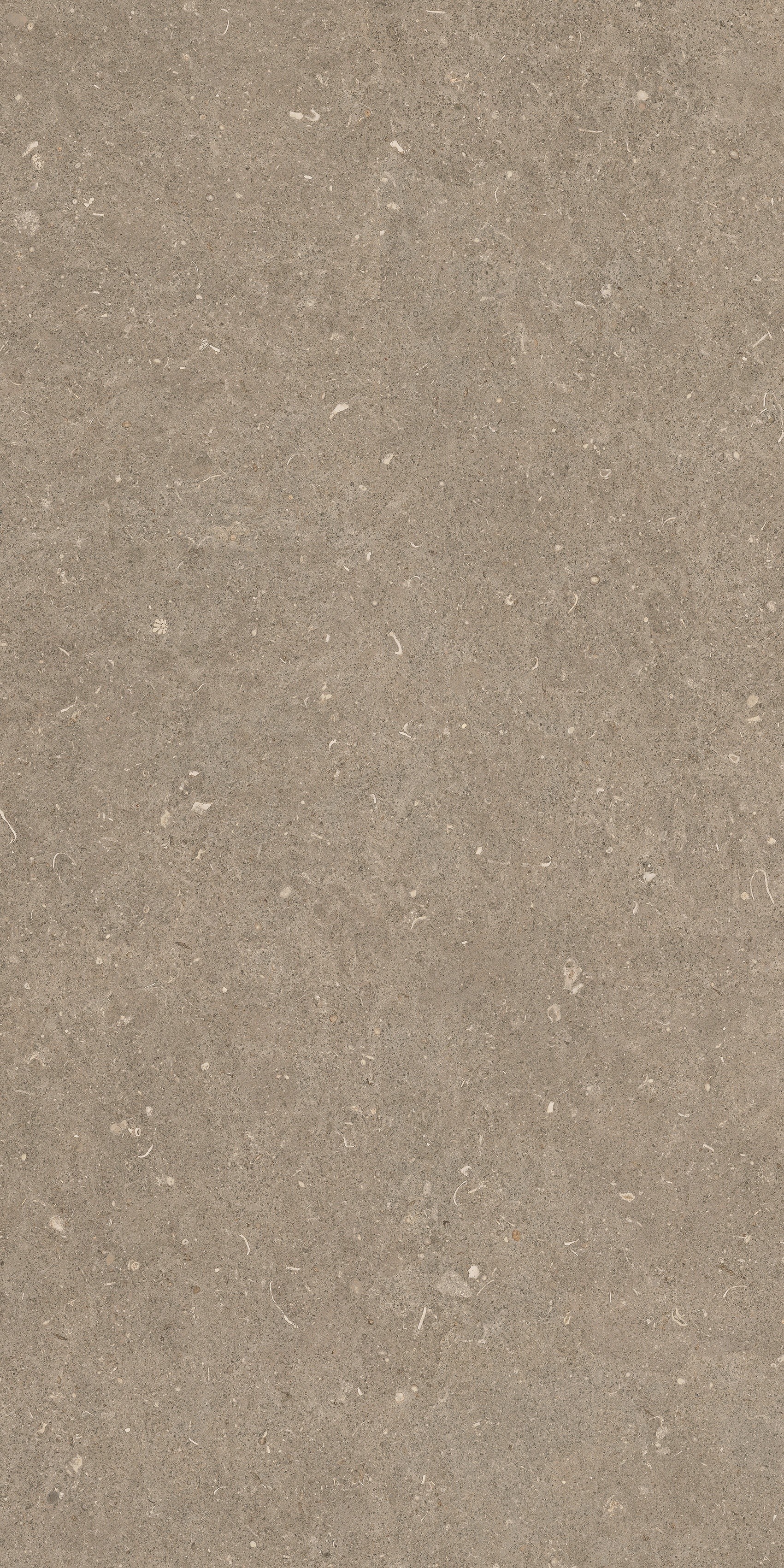 785482 Rinascenza Arena Pietra Matte 60x120 Casa Dolce Casa фото 6