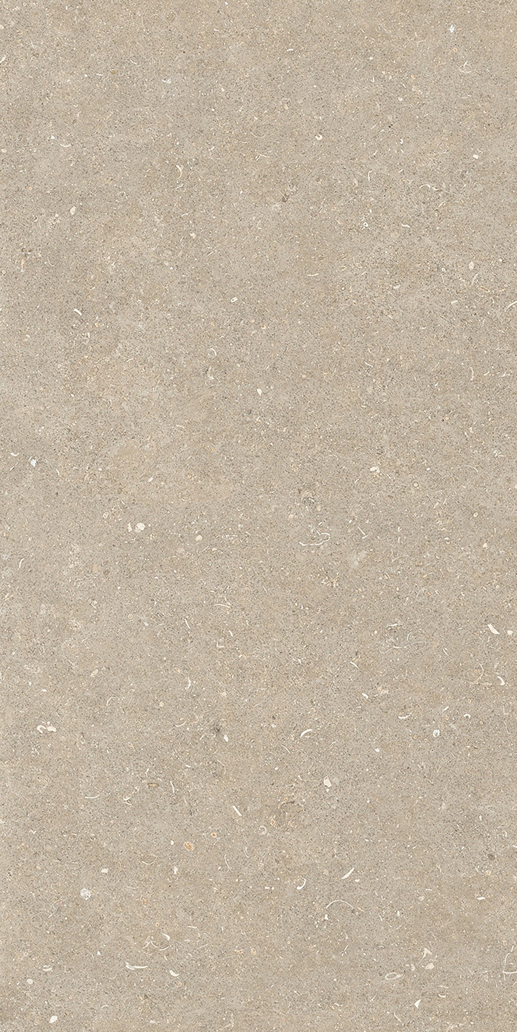 785575 Rinascenza Arena Conchiglia Matte 6mm 60x120 Casa Dolce Casa фото 5