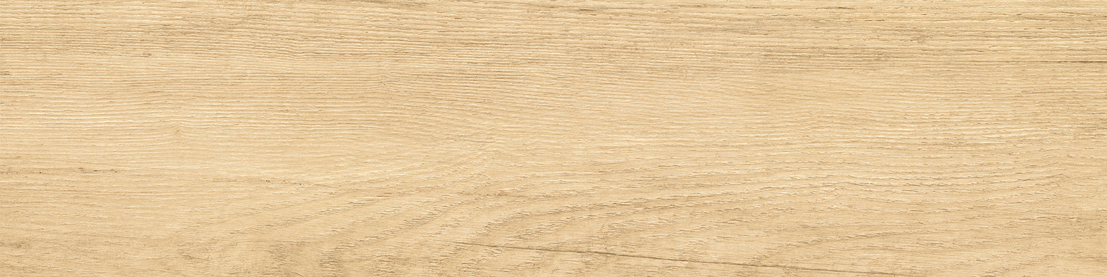 GP1560SAB11 Sunbau Oak Sugar 151x602 New Trend