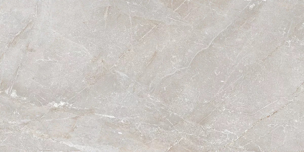 Stonico Oyster Grey Glossy 60x120 Art Ceramic