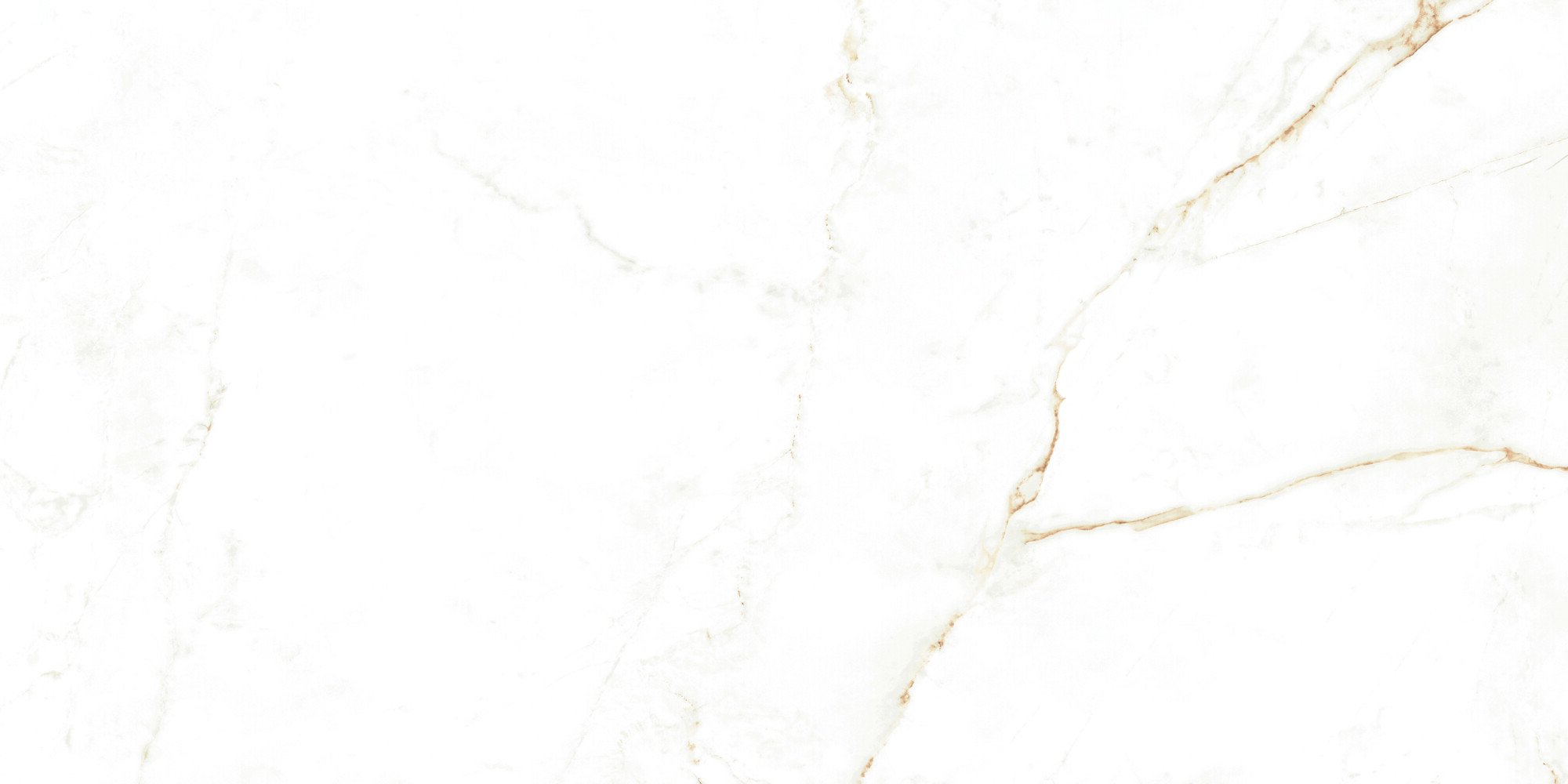 38712 Dual White NT/60X120X0,9/C/R 60x120 Peronda фото 11