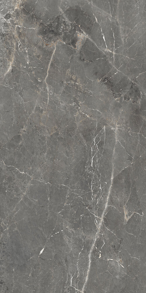 GT1206012109SPR Tulip Темно-Серый Полированный 60x120 Global Tile