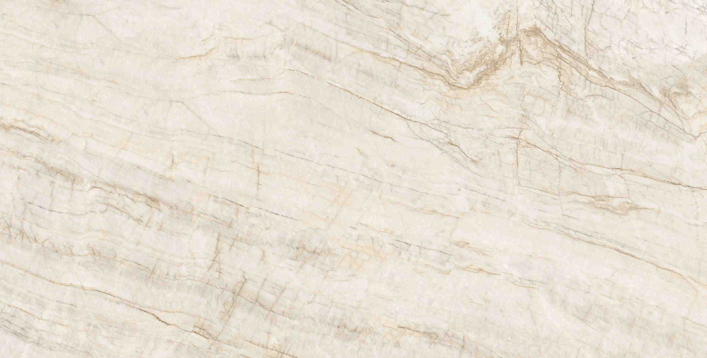 ENSTN8041MT60120 Taj Mahal Matt 60x120 Ennface