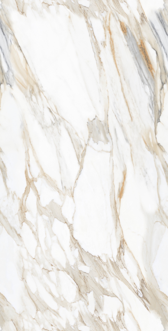 Calacatta Oro Glossy 60x120 Modern Tile