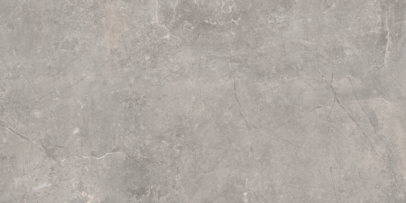 Concept Gray 60x120 Baldocer