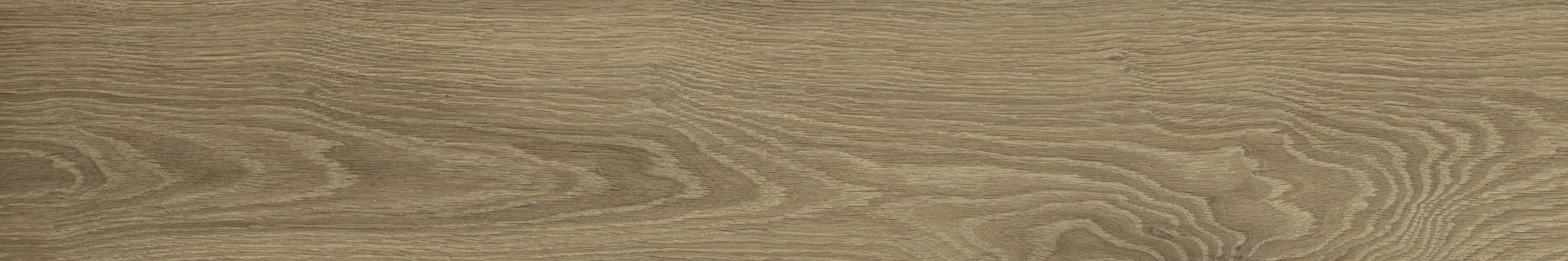 WD106 Branch Taupe 20x120 PrimaVera