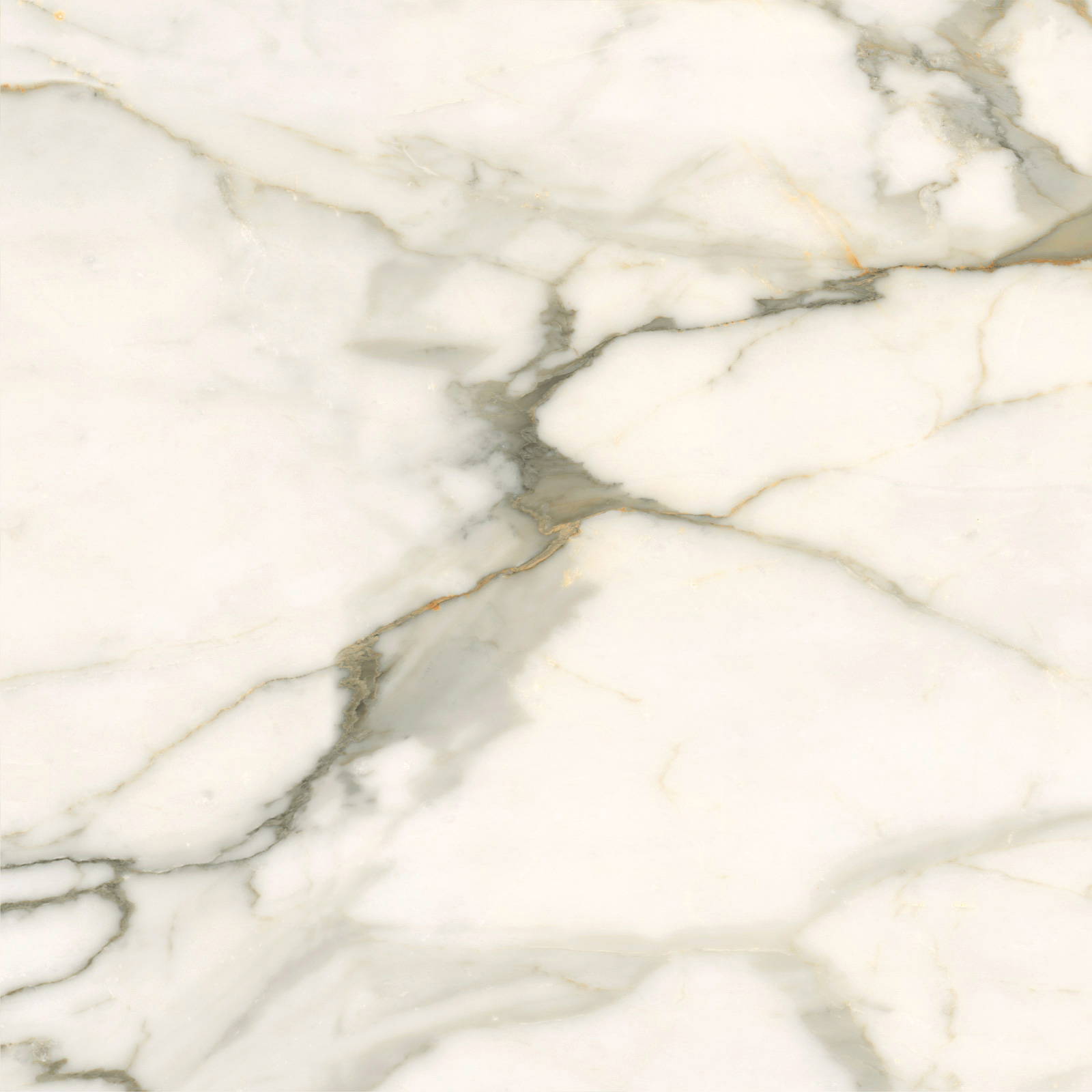 6060CBO55P Calacatta Borghini 60x60 LCM