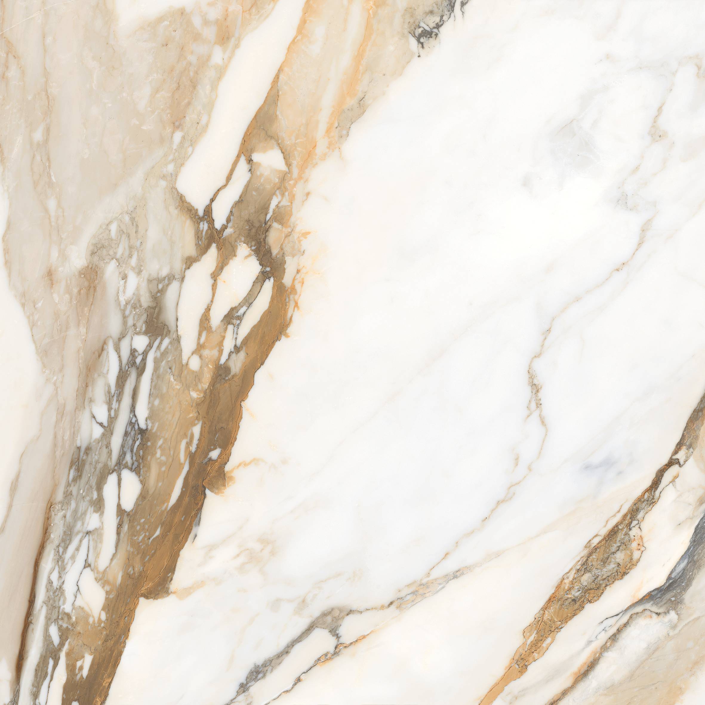 Calcatta Gold Borghini 60x60 SotGres