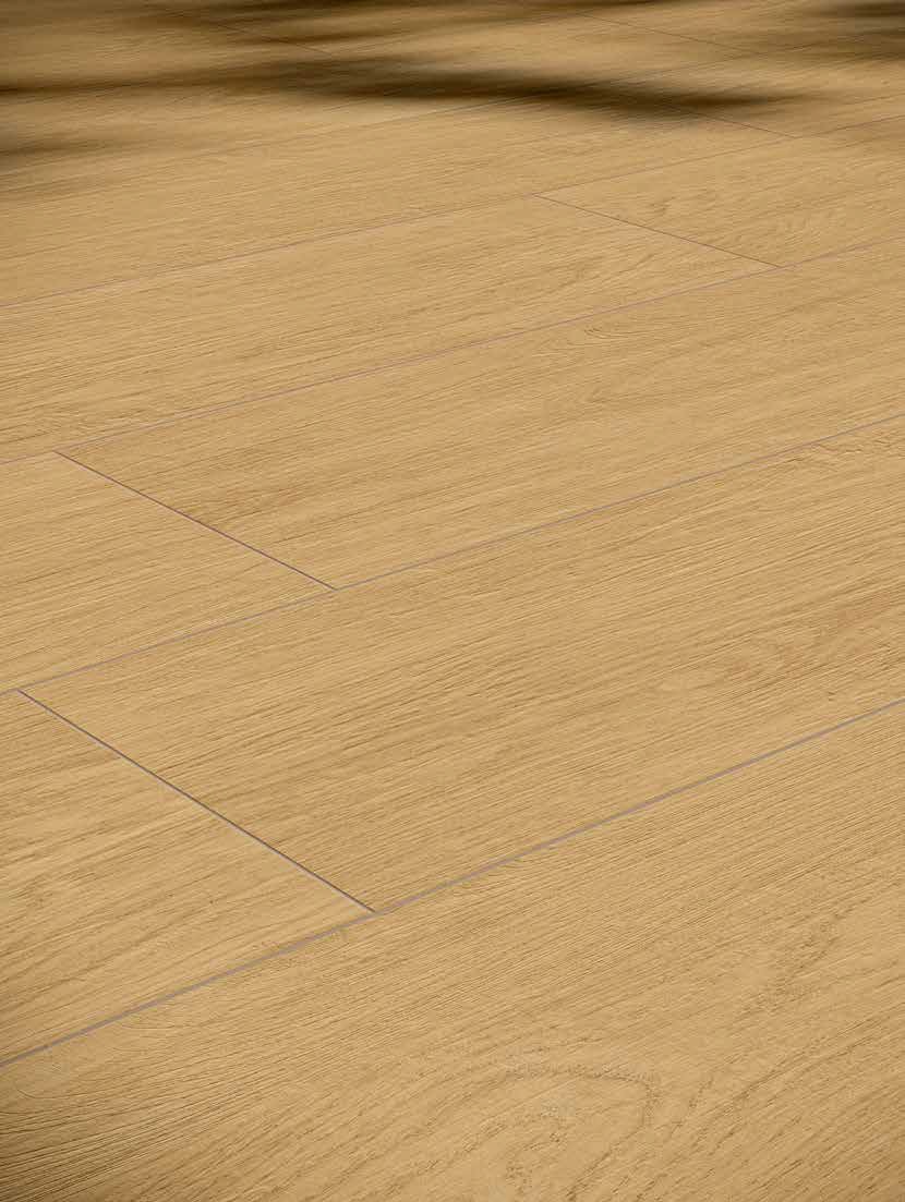 Аура X2 Italon фото 2