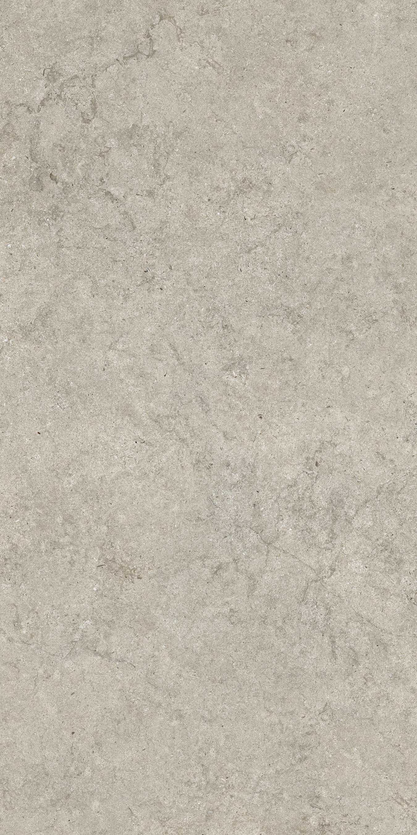 610010003142 Саленто Грэй Рет 60x120 ColiseumGres фото 6