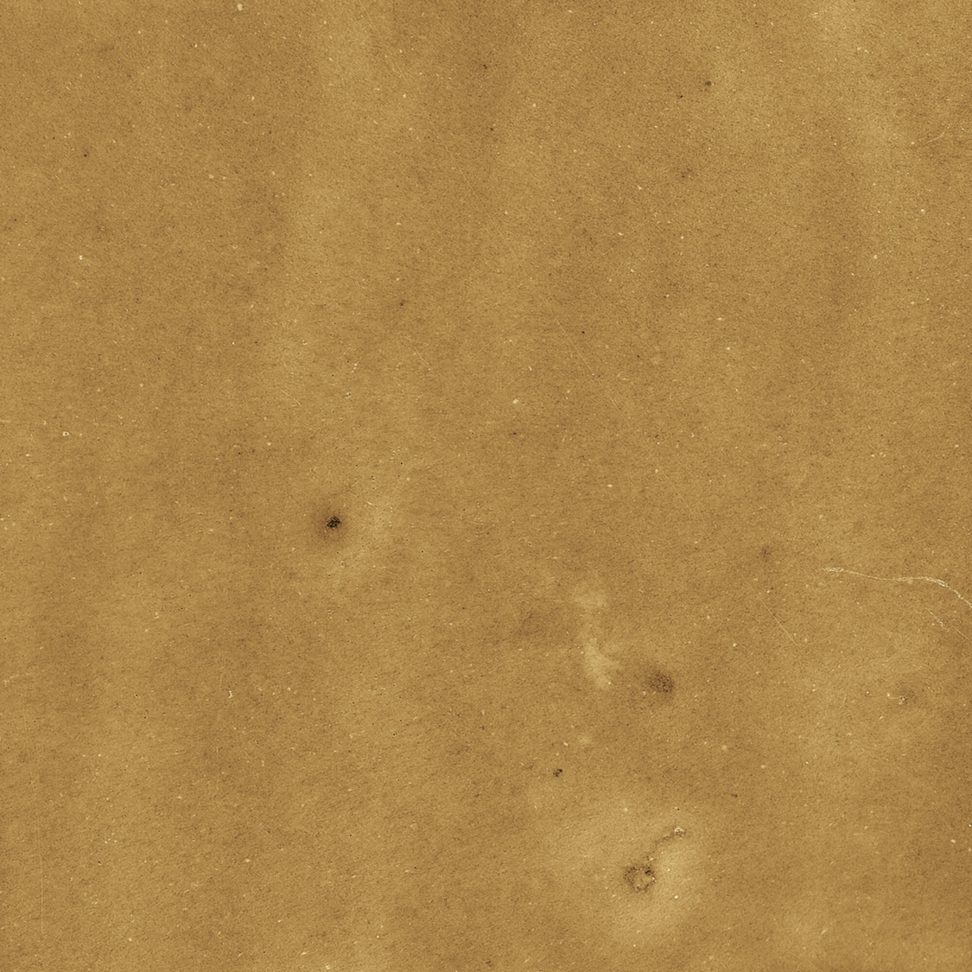 43288 Samira Gold 10x10 Harmony фото 44