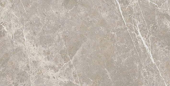 766630 Elemental Grey Dolomia Luc Ret 30x60 Cerim