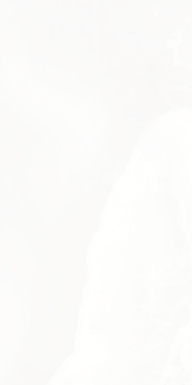 2207 Onix White Poli 9 mm 120x60 Artcer фото 3