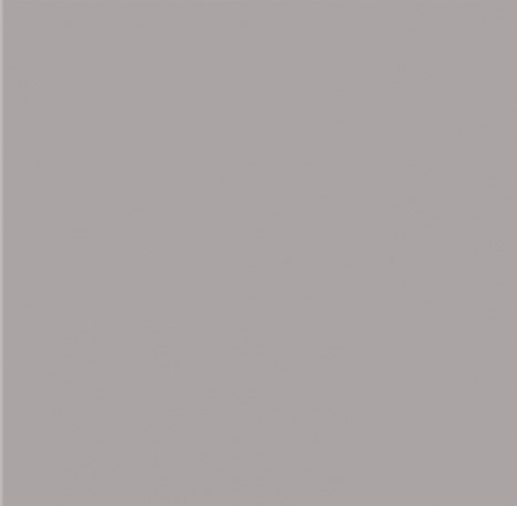 RW 03 Rainbow неполированный 60х60 Estima