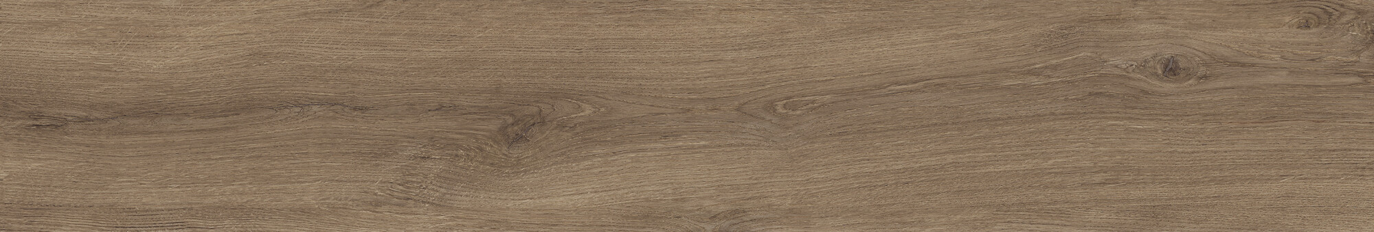 41729 Bloom Cognac SP/24x151x0,9/R 24x151 Peronda