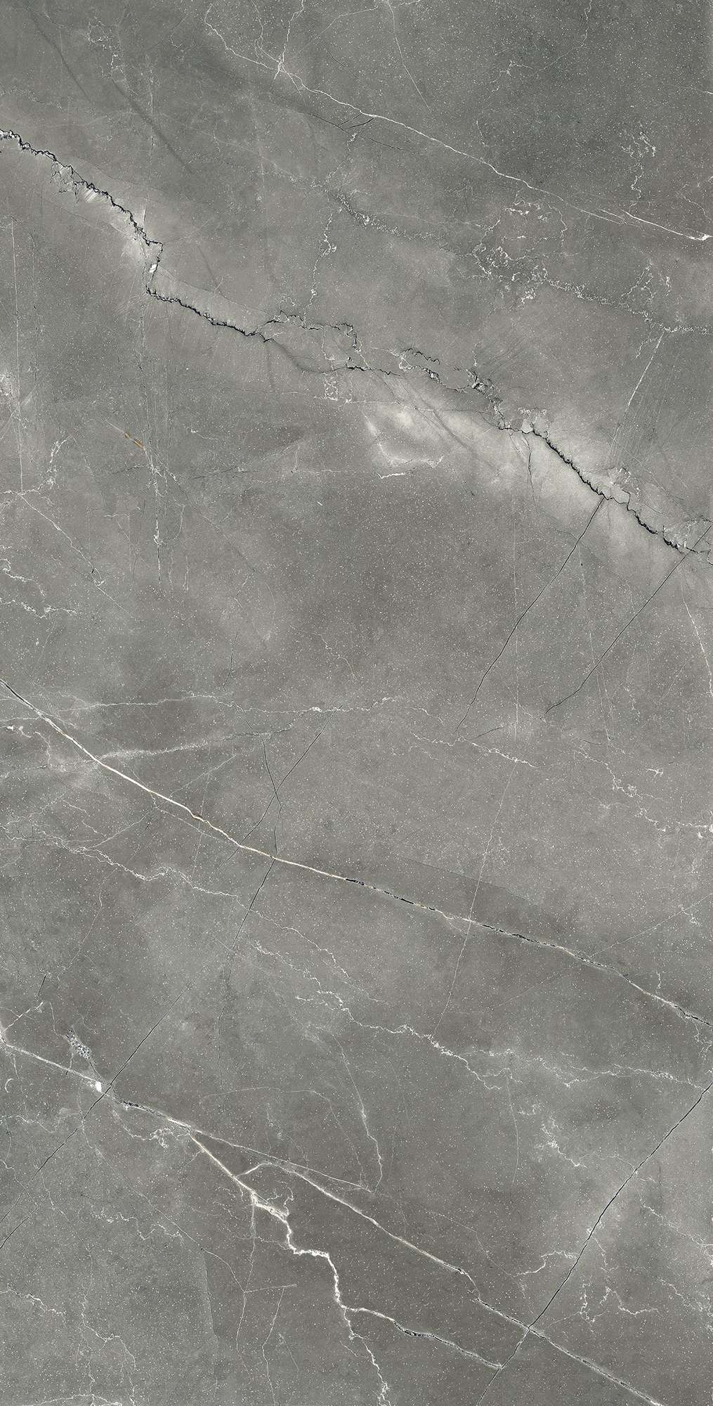 CR4002-A Pulpis Nero Carving 60x120 Arcadia Ceramica