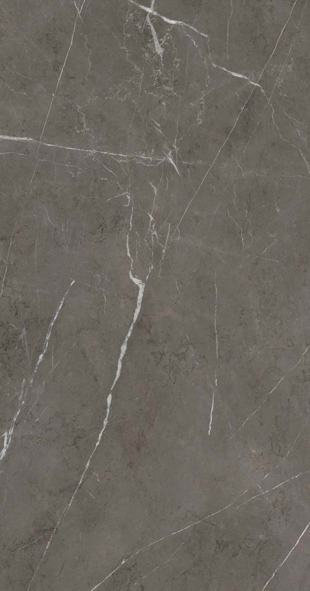 PF60006313 Stone Grey Lux R 60x120 ABK фото 7