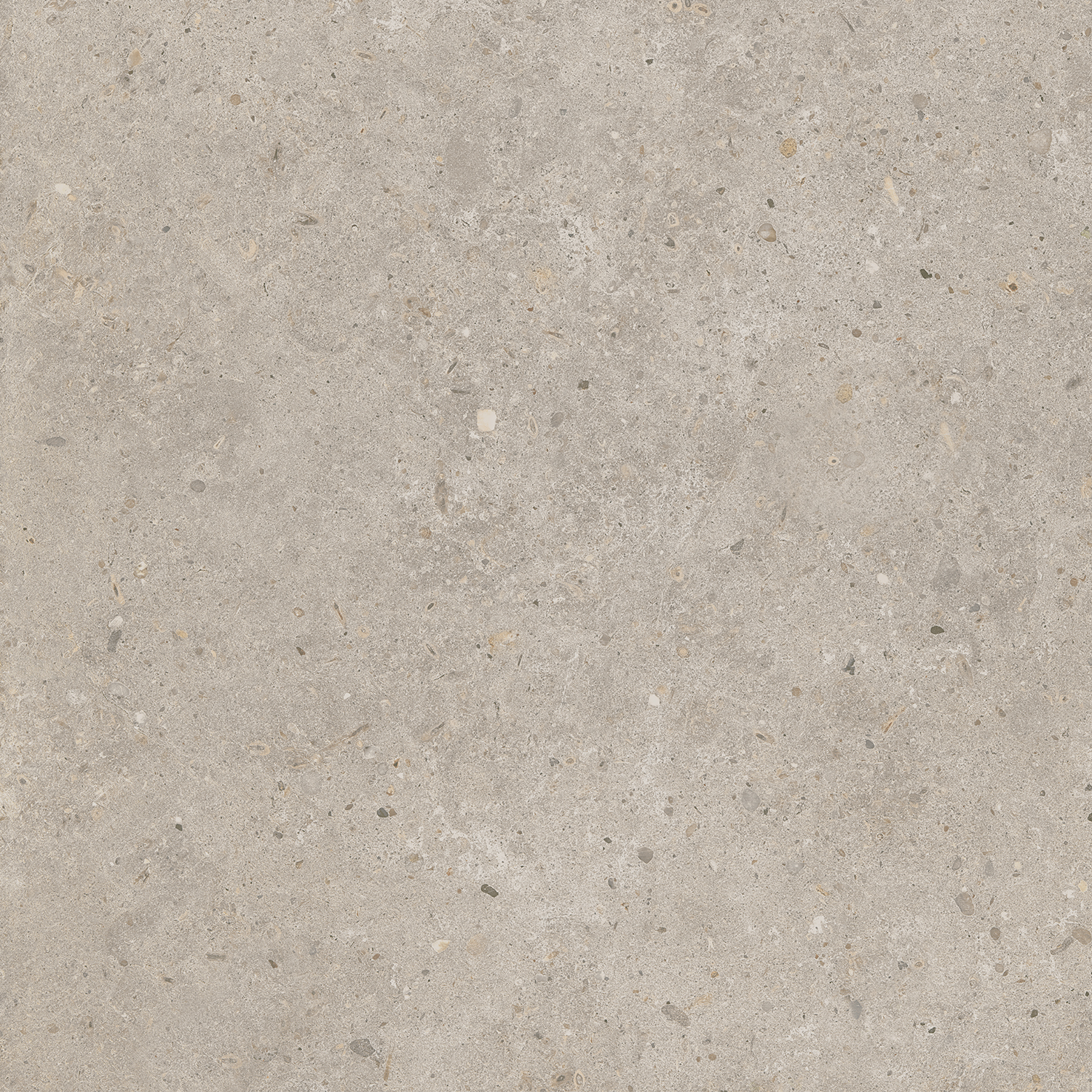 SG653820R Риккарди бежевый матовый обрезной 60x60 Kerama Marazzi фото 5