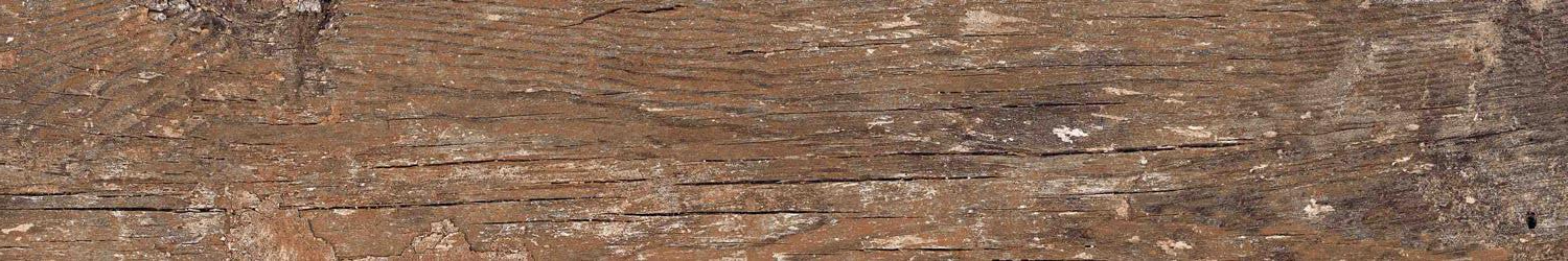 Kiwi Redroot Mat 20x120 Alpas Euro