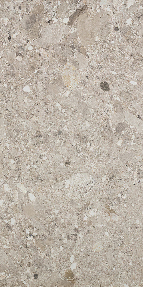 Ceppo Sabbia Rett 60х120 Cercom фото 4