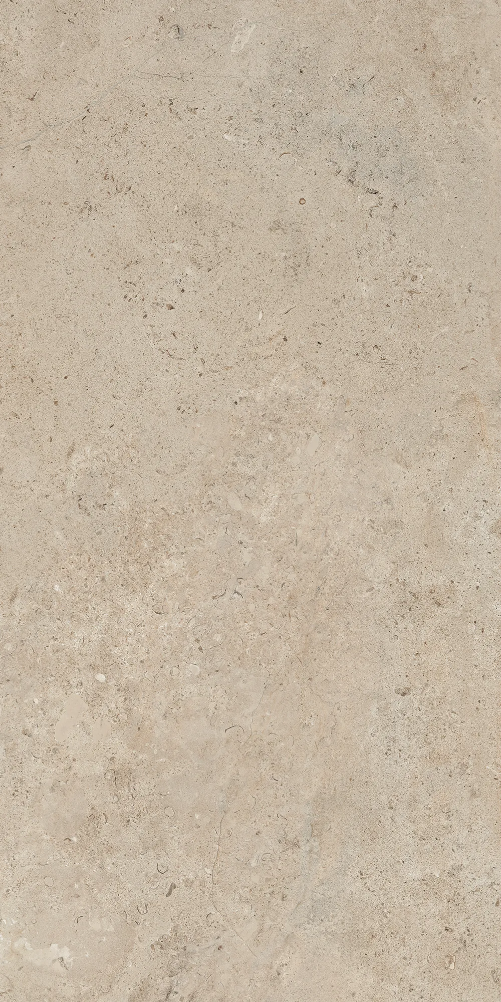 B71613 Lithoteke Limestone Honed RT 60x120 Bottega
