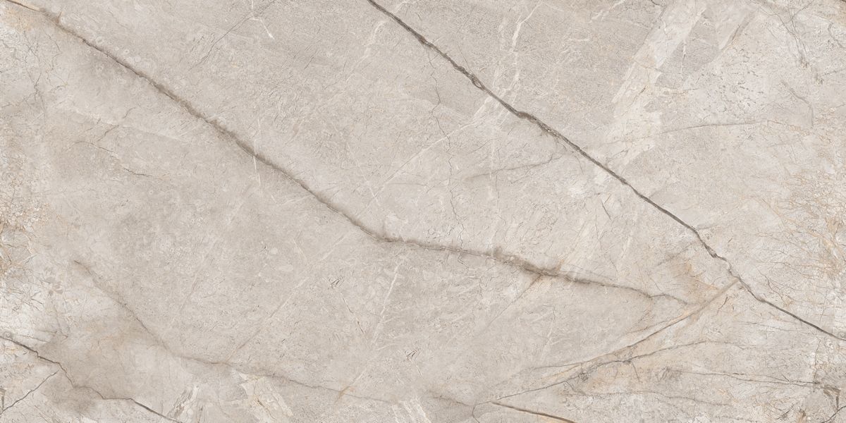 N80016 Silver Stone Carving 60x120 Neodom