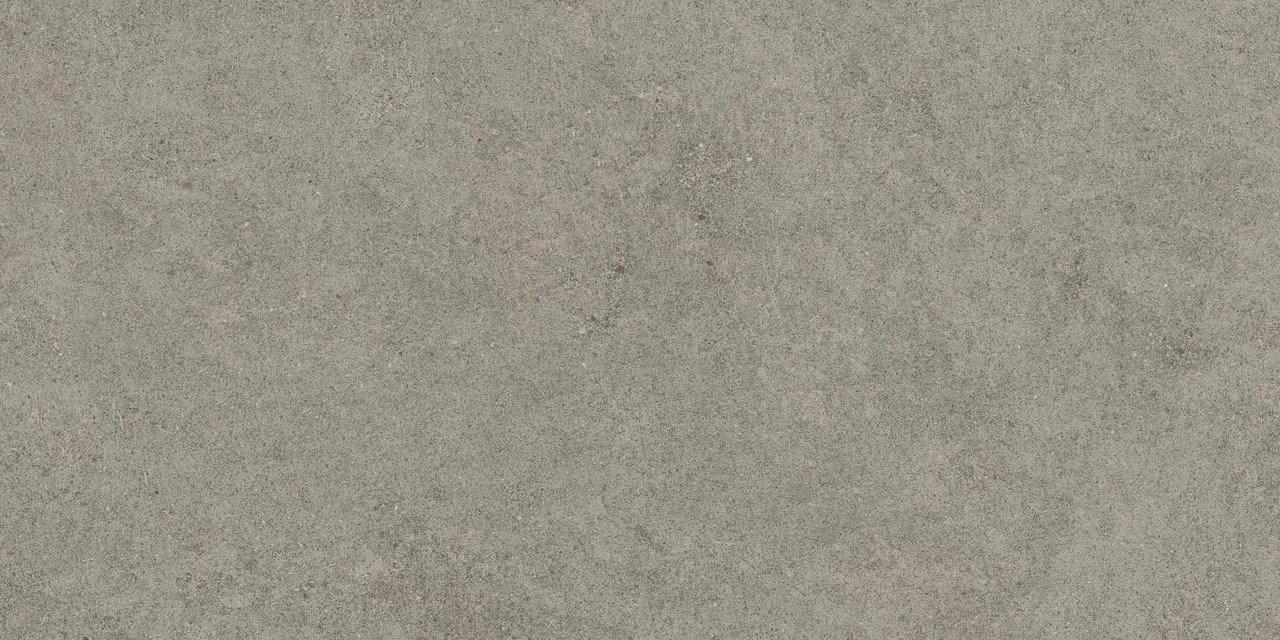 610010005821 Forte dei Marmi Rock Lunar Grey Matt Rett 60x120 Atlas Concorde Russia