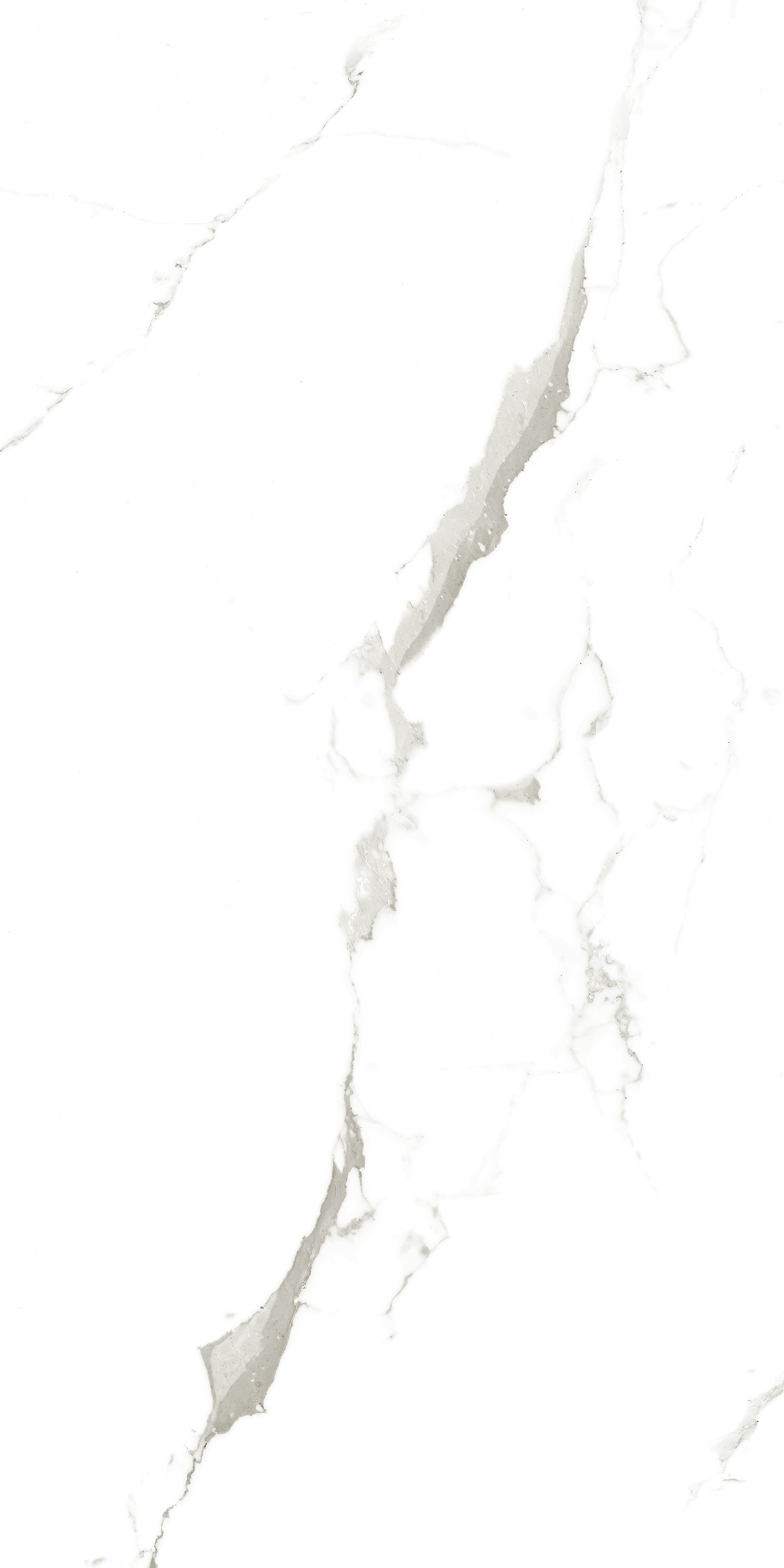 902 Vena Fine Statuario 120x60 Artcer