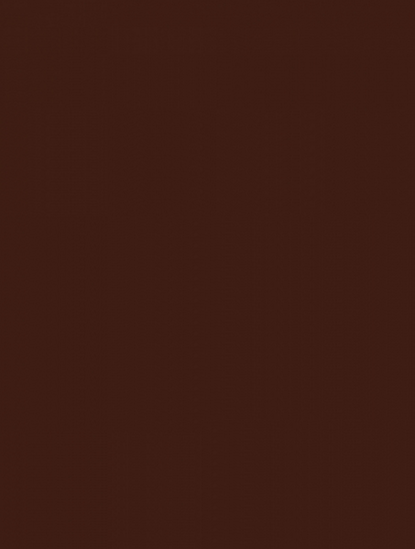 WAAKB109 CONCEPT Brown 25x33 RAKO