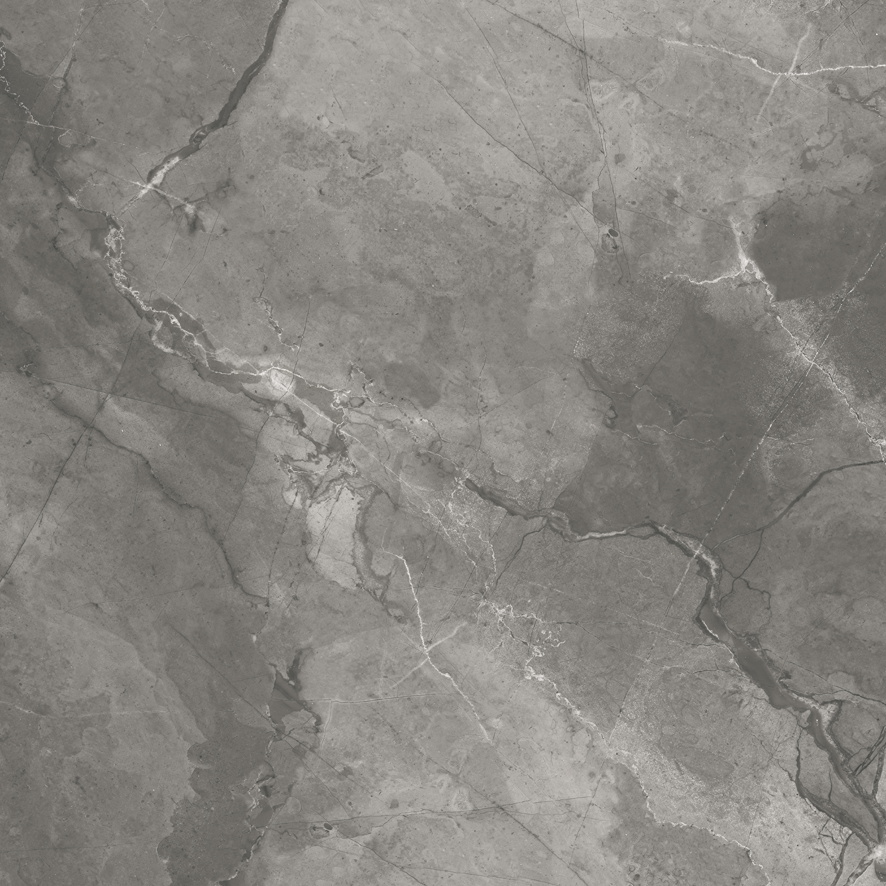 CR6020-A Bismanto Grey Carving 60x60 Arcadia Ceramica фото 5