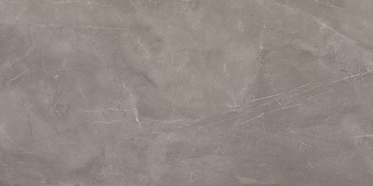 Armani Gris Glossy 60x120 Art Ceramic