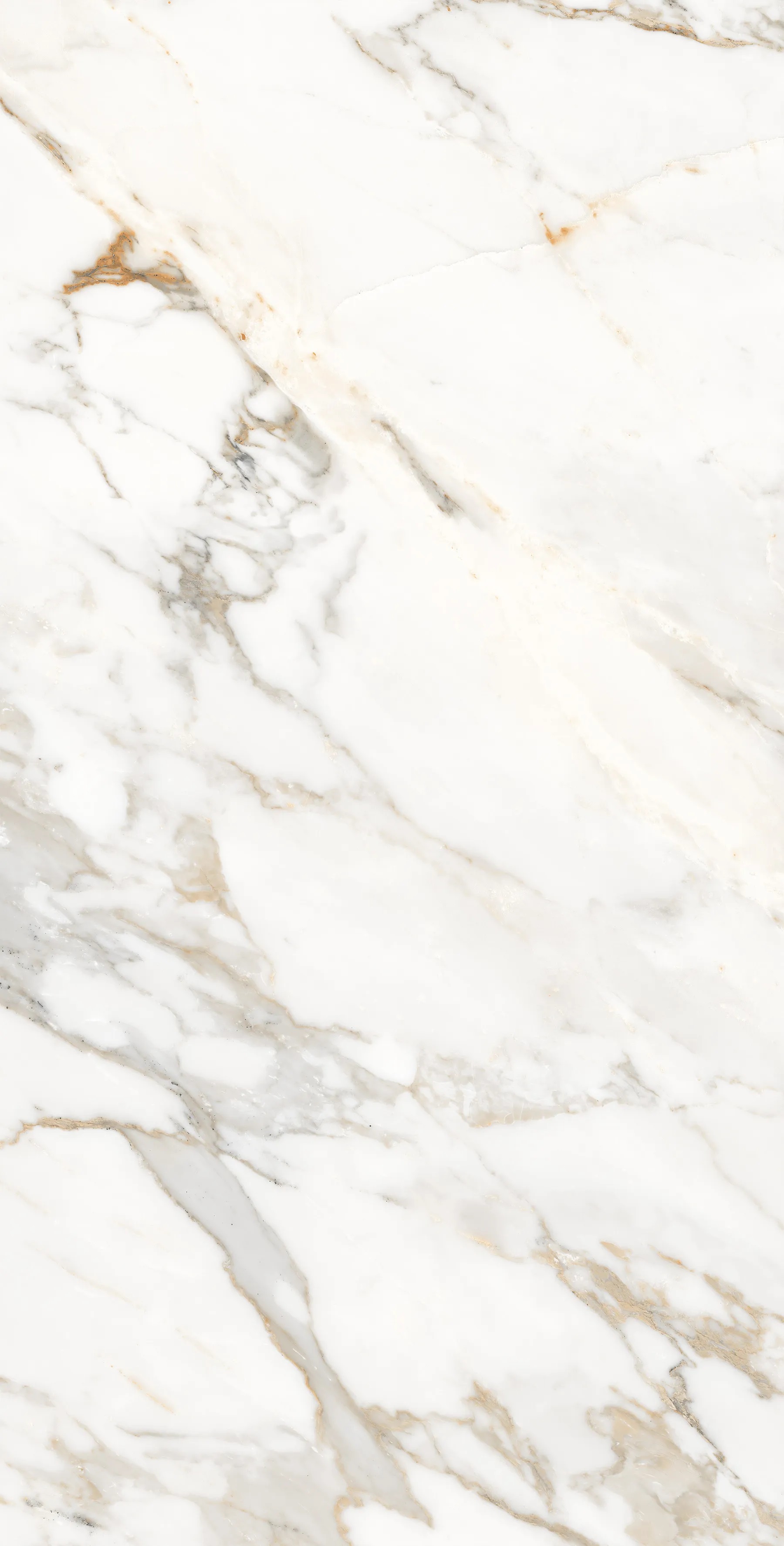 FP1006-A Calacatta Oro 60x120 Arcadia Ceramica фото 2