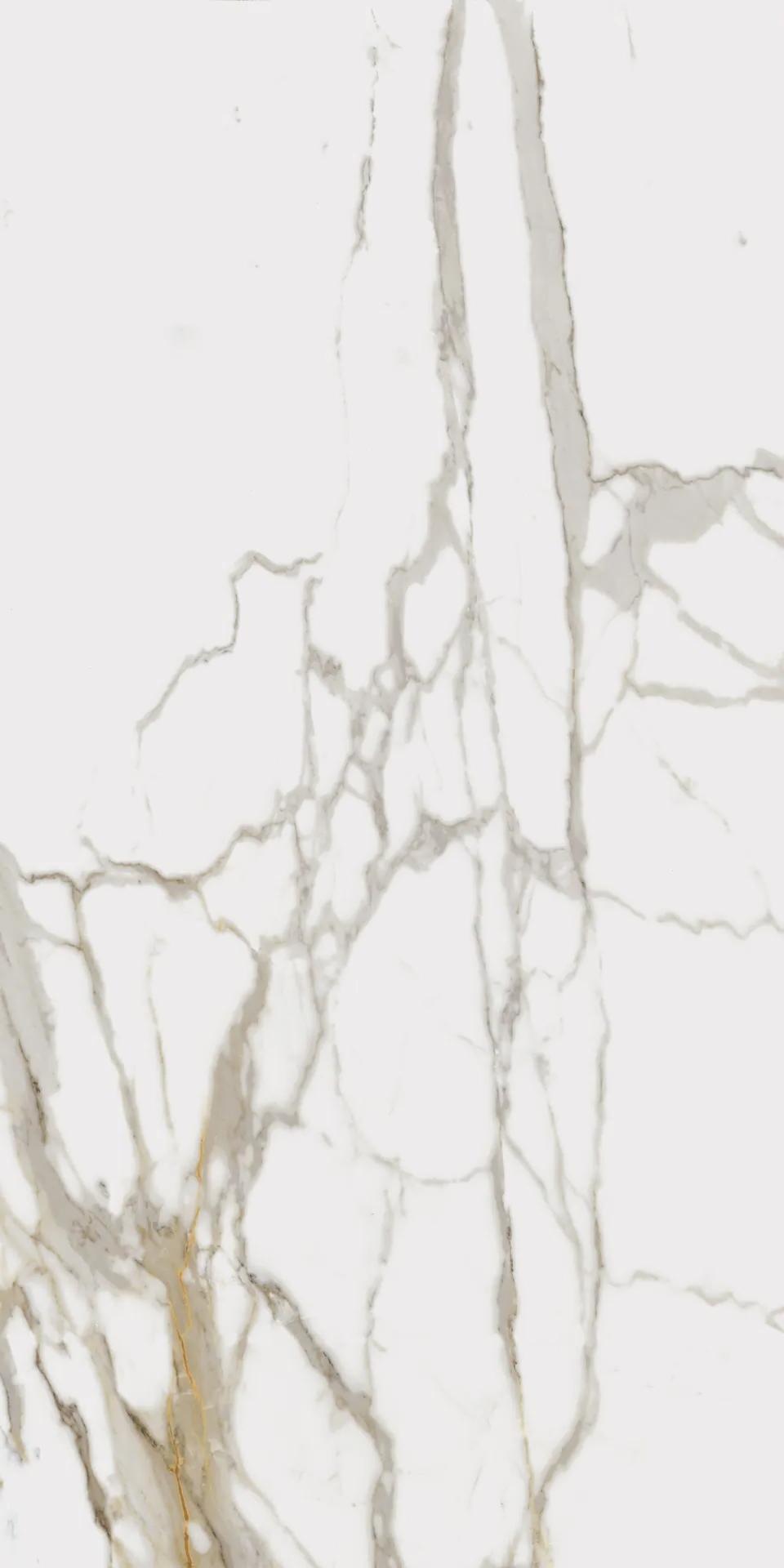 610010001683 Charme Evo Calacatta Nat Ret 80x160 Italon фото 4