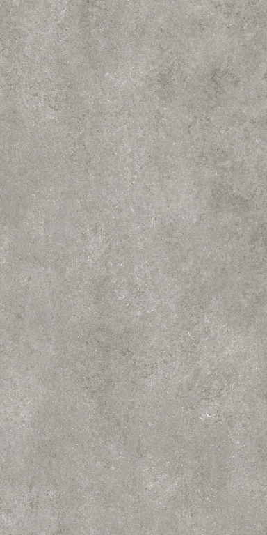 768581 Sensi Grey Fossil Nat Ret 6mm 120x240 Casa Dolce Casa