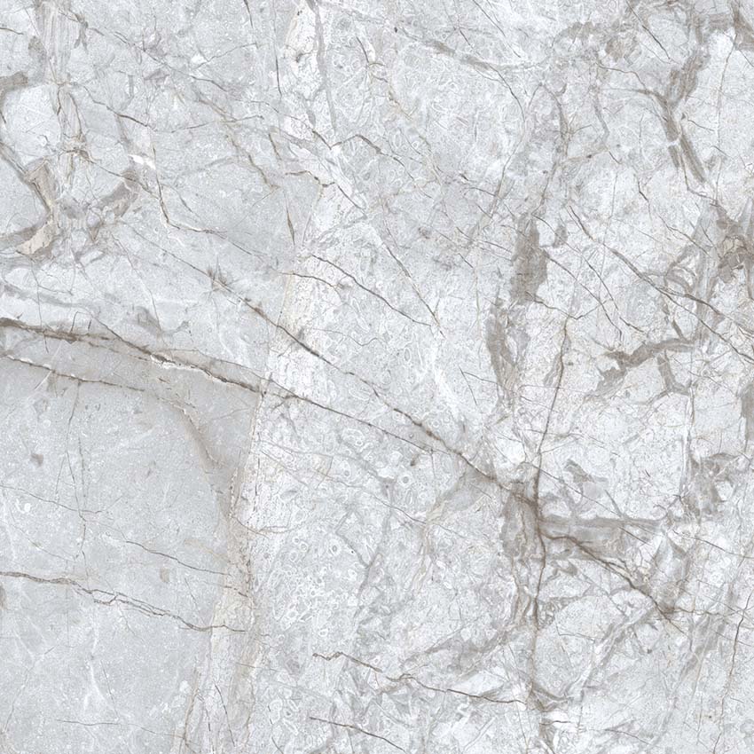 PR112 Lambert Bianco Polished 600x600 PrimaVera