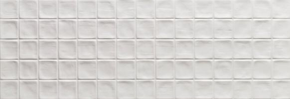 Mosaico Colette Blanco 21.4х61 Roca Ceramica