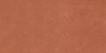 RTN6 CARMI12 RM 60x120 Imola Ceramica