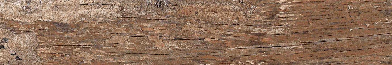 Kiwi Redroot Mat 20x120 Alpas Euro