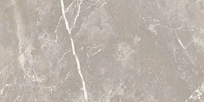 766617 Elemental Grey Dolomia Nat Ret 30x60 Cerim