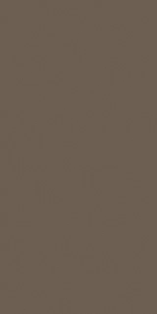767262 Crayons Hazelnut Nat Ret 6mm 60x120 Cerim