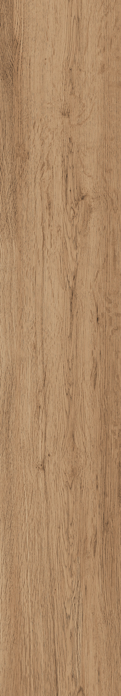 1106 Modena Brown Mate 120x20 Artcer