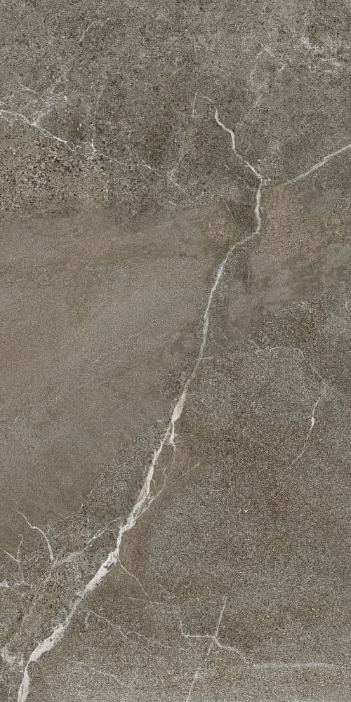 6493-0146 Гроза бежево-коричневый 60х120 Lasselsberger фото 3