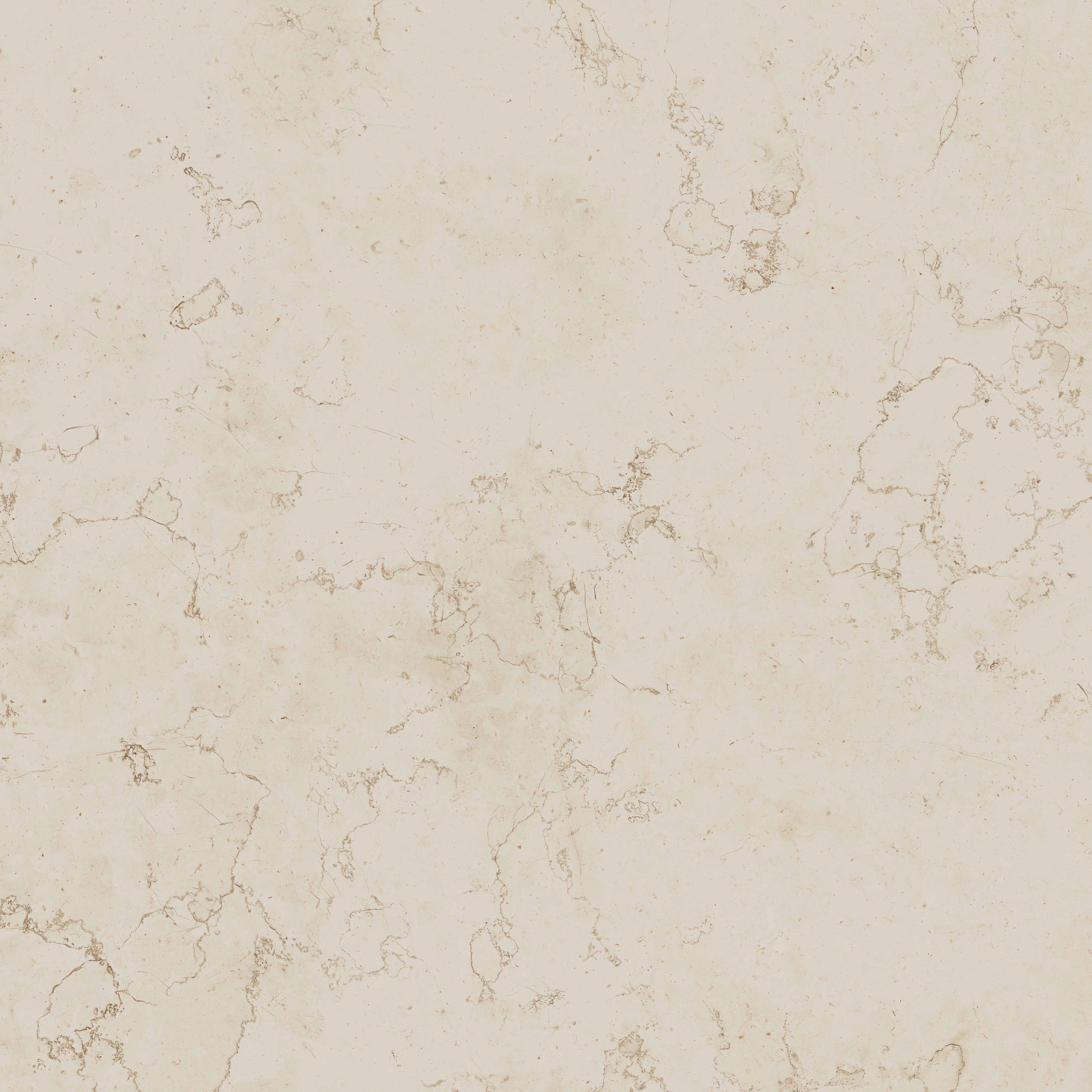 PF60020800 Bon Ton Biancone Nat 3D Ret 120x120 Gardenia Orchidea (Versace) фото 6