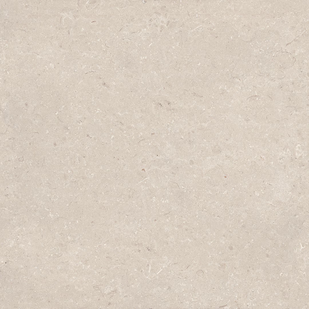 100330176 Coral Caliza L 120x120 Porcelanosa фото 3